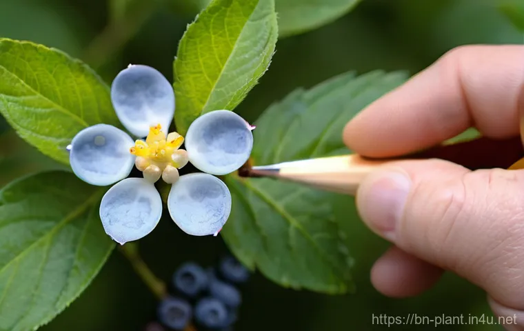 블루베리 나무 실내 재배법 - A Thriving Dwarf Blueberry Plant on an Urban Balcony**

"A lush, healthy dwarf blueberry plant, spec...
