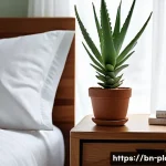 Home 17 공기정화식물 효과 비교 - A serene bedroom scene featuring a medium-sized Aloe Vera plant on a wooden nightstand next to a nea...
