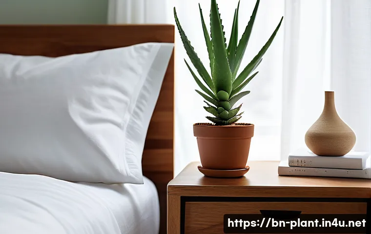 공기정화식물 효과 비교 - A serene bedroom scene featuring a medium-sized Aloe Vera plant on a wooden nightstand next to a nea...